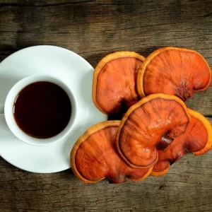 Reishi Mushroom