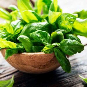 Basil