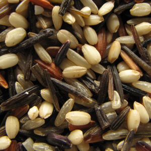 Grains of Paradise