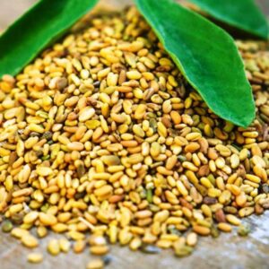 Fenugreek