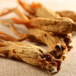 Ginseng Roots/White Powder