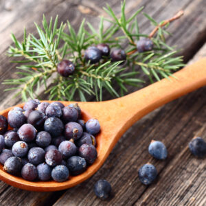 Juniper Berries