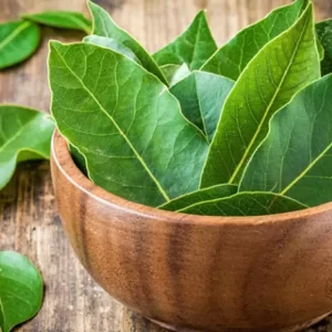 Bay Leaf