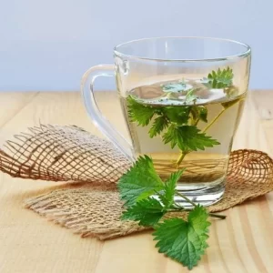 Nettle Leaf
