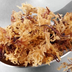 Irish (Sea) Moss