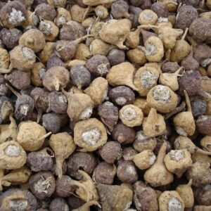 Black Maca
