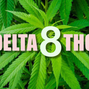 Delta 8 THC Kushi Kandy