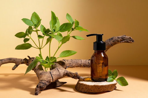 Ashwagandha Benefits for Women