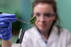 ashwagandha root science