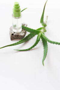 Aloe Vera: The Cooling Heale